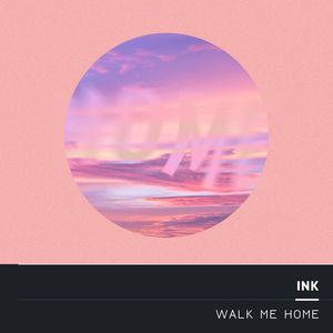 Albumhoes van Walk Me Home — Pink