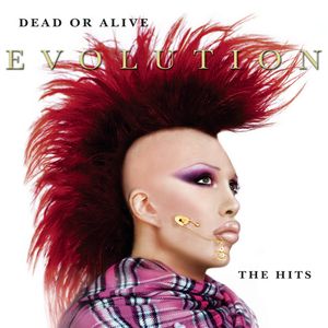Albumhoes van You Spin Me Round — Dead Or Alive