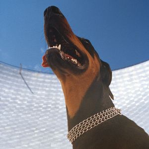 Albumhoes van Good Lies — Overmono