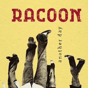 Foto van Racoon