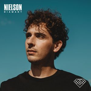 Albumhoes van IJskoud — NIELSON