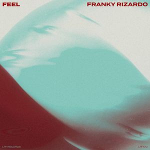 Albumhoes van Feel — Franky Rizardo