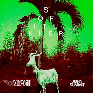 Albumhoes van Drinkee (Vintage Culture & John Summit Remix) — Sofi Tukker