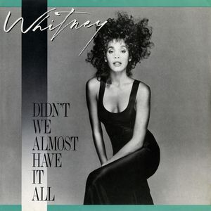 Albumhoes van Didn't We Almost Have It All — Whitney Houston