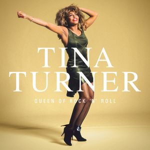 Albumhoes van Private Dancer — Tina Turner