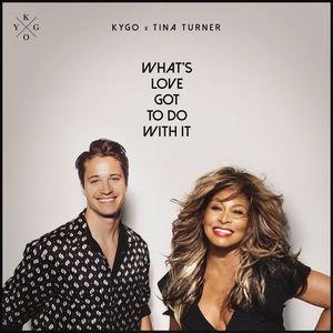 Albumhoes van What's Love Got To Do With It — Tina Turner