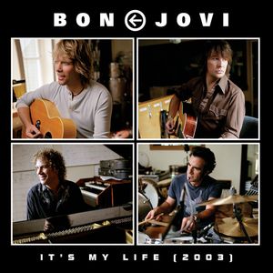 Albumhoes van It's My Life (accoustic) — Bon Jovi