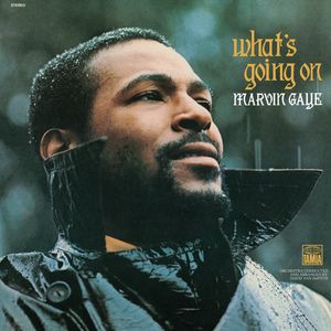 Albumhoes van What's Going On — Marvin Gaye
