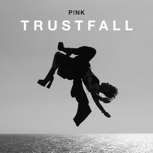 Albumhoes van Trustfall — Pink