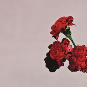 Foto van John Legend