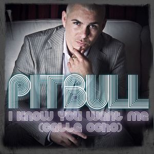 Albumhoes van I Know You Want Me — Pitbull