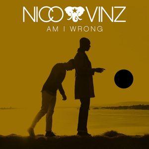 Albumhoes van AM I WRONG — NICO & VINZ