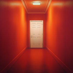 Albumhoes van The Door — Teddy Swims